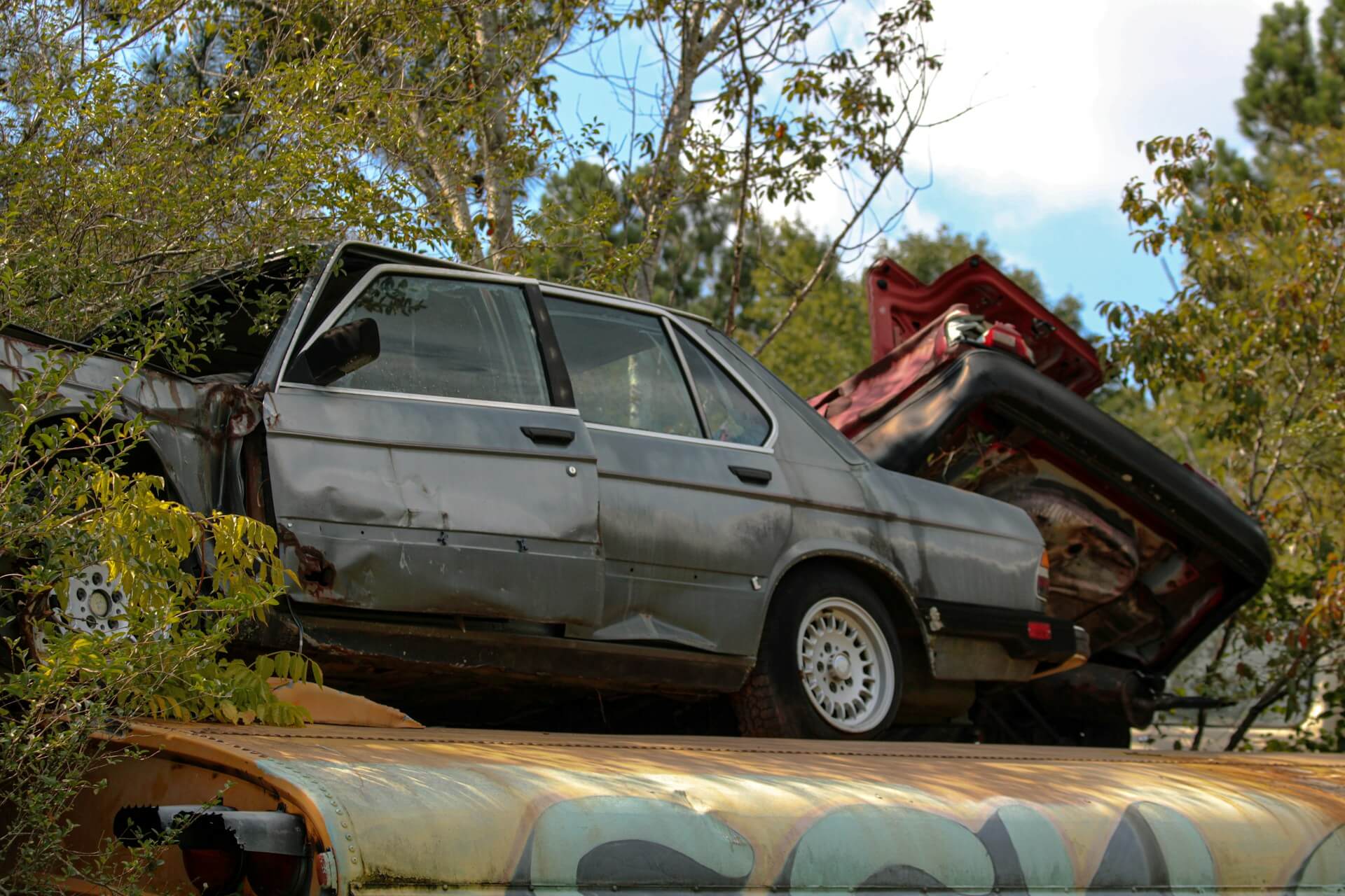abandoned salvage cars